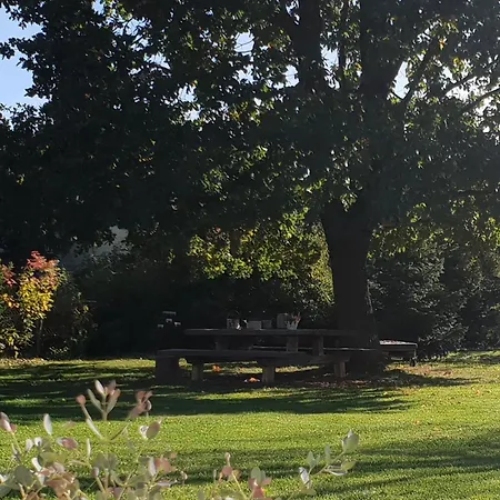 Schaeferwagen Gartenblick Nr 4 Campsite Radebeul