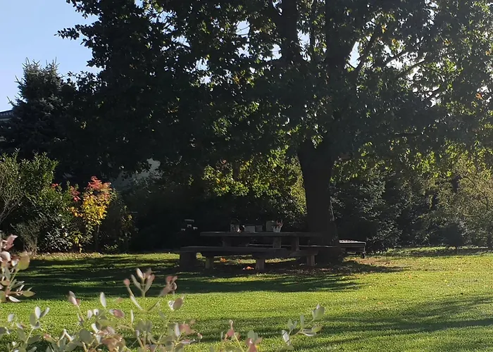 Schaeferwagen Gartenblick Nr 4 Campsite Radebeul